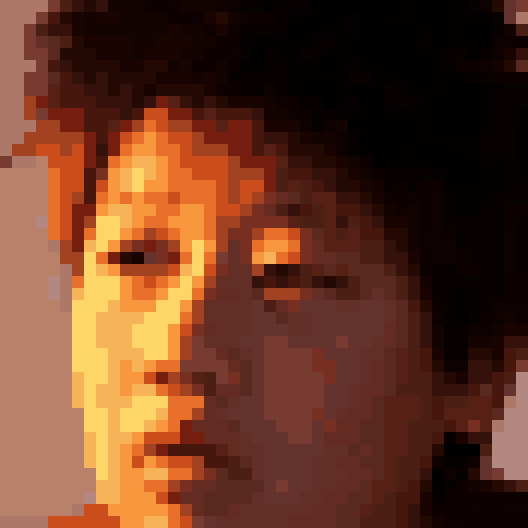 Pixel portrait